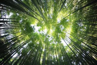ESG Investing Can Do Good or Not Good | JOY Wealth Partner